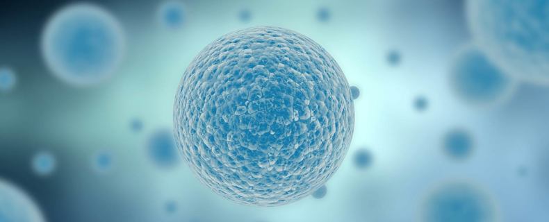 Adevarul Despre Cancer